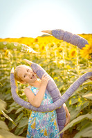 Monica Greenwood Sunflowers 2025