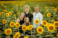 Hennings Sunflowers 2025
