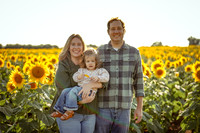 Jordan Sunflowers 25