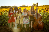 Unfit Wives Sunflowers