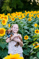 Monica Sunflowers 26