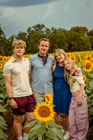 Henning Sunflowers 26